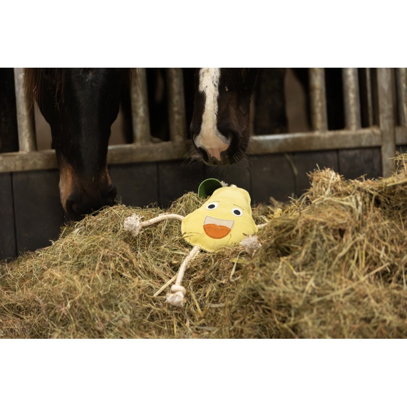Excellent Horse Foodie Friends Pear Excellent Horse Foodie Friends Pear