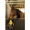 Excellent Horse Foodie Friends Pear Excellent Horse Foodie Friends Pear