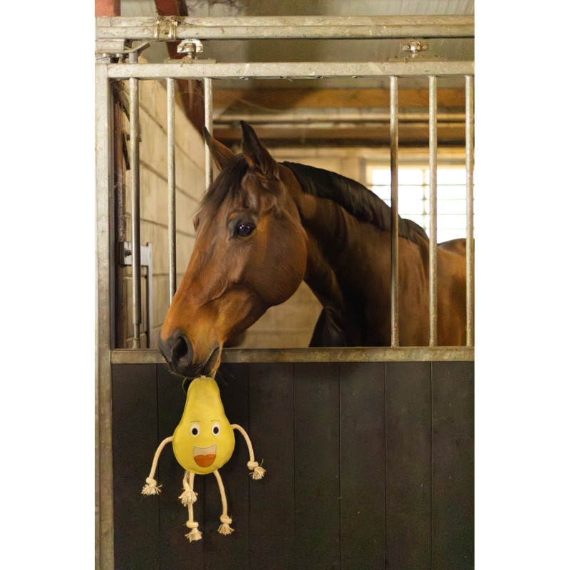 Excellent Horse Foodie Friends Pear Excellent Horse Foodie Friends Pear