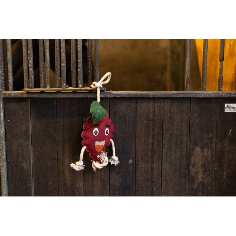 Excellent Horse Foodie Friends Raspberry Excellent Horse Foodie Friends Raspberry