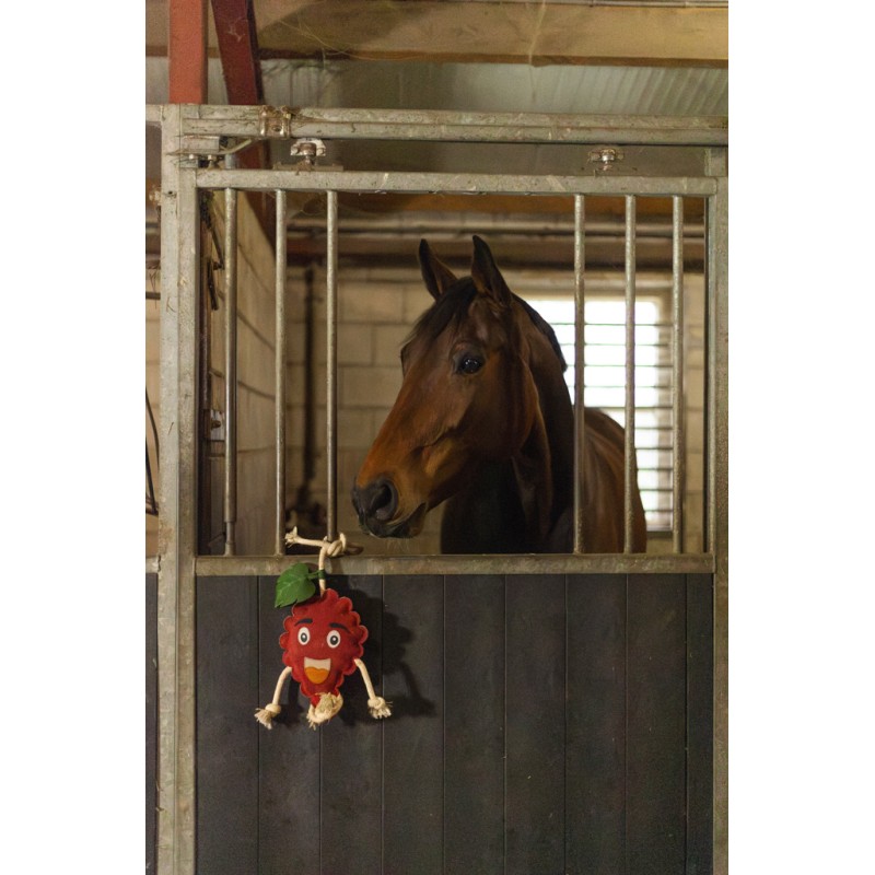 Excellent Horse Foodie Friends Raspberry Excellent Horse Foodie Friends Raspberry