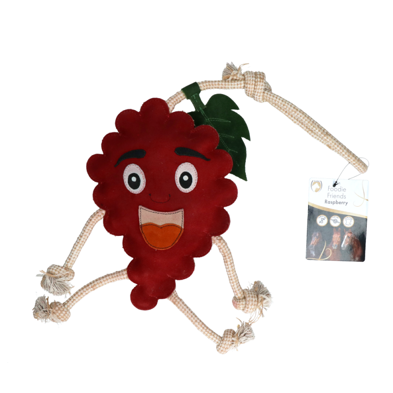 Excellent Horse Foodie Friends Raspberry Excellent Horse Foodie Friends Raspberry