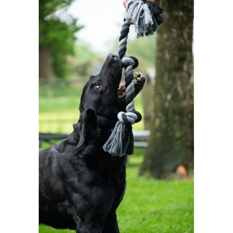 Tandtrådsslynge med 4 knuder - 85 cm Floss Toss Tandtrådsslynge med 4 knuder - 85 cm Floss Toss