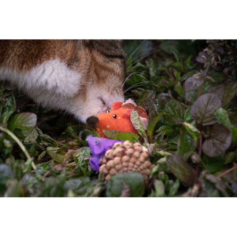 Forest Friends Mus Orange Forest Friends Mus Orange