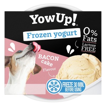 Frossen yoghurt baconkage YowUp!