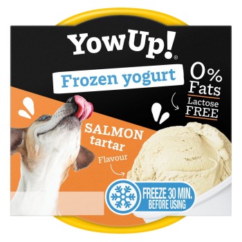 Frossen yoghurt laksetartar YowUp!