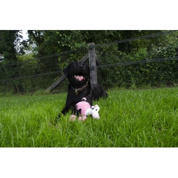 Fuzzle med 5 pibelydre Ko