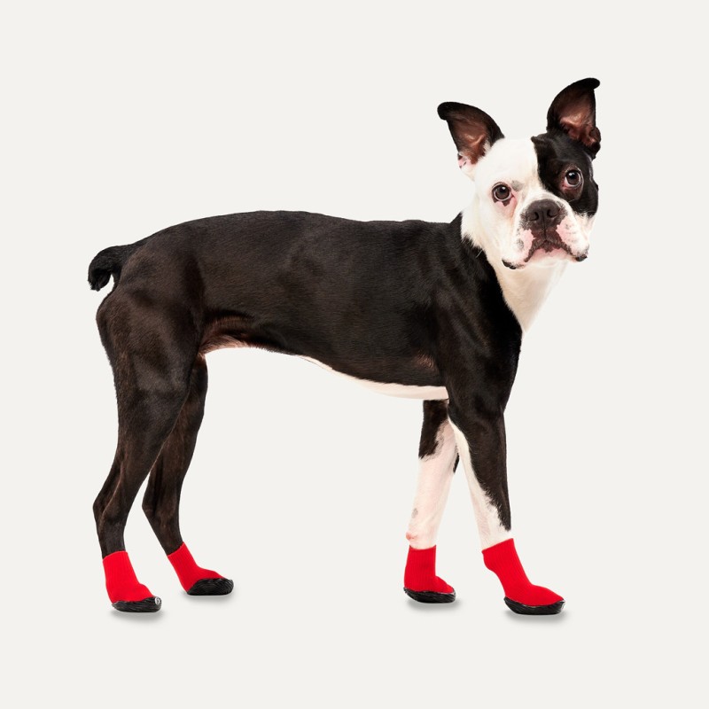 Goo-eez Hundestøvler Lites 4 stk. XS Rød/Sort Goo-eez Hundestøvler Lites 4 stk. XS Rød/Sort