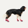 Goo-eez Hundestøvler Lites 4 stk. M Rød/Sort Goo-eez Hundestøvler Lites 4 stk. M Rød/Sort