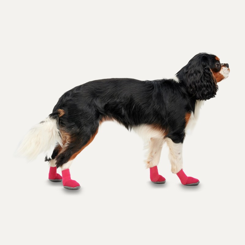 Goo-eez Hundestøvler Lites 4 stk. M Rød/Sort Goo-eez Hundestøvler Lites 4 stk. M Rød/Sort
