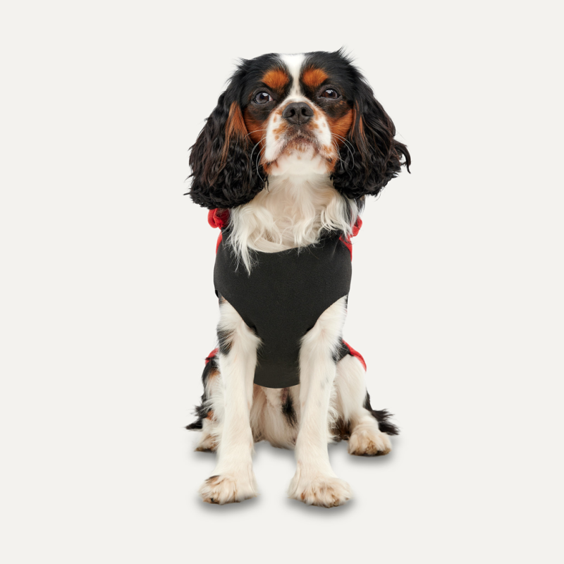 Goo-eez Kænguru Fleece Hættetrøje XXL Rød/Sort Goo-eez Kænguru Fleece Hættetrøje XXL Rød/Sort
