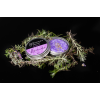 Groomers Secret Shampoobar Lavendel Groomers Secret Shampoobar Lavendel