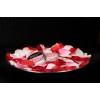 Shampoobar Rose Groomers Secret