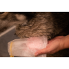 Groomers Secret Shampoobar Rose Groomers Secret Shampoobar Rose