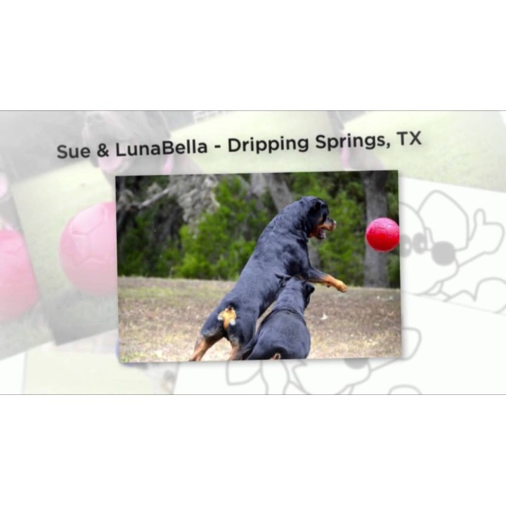 Fodbold Orange L (20 cm) Jolly