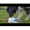 CoolPets Splash vandfontæne CoolPets Splash vandfontæne