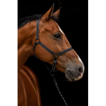 Grime sort Føl med kliklås Excellent Premium Grime sort Føl med kliklås Excellent Premium