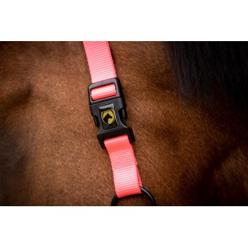 Grime lyserød Føl med kliklås Excellent Premium Grime lyserød Føl med kliklås Excellent Premium