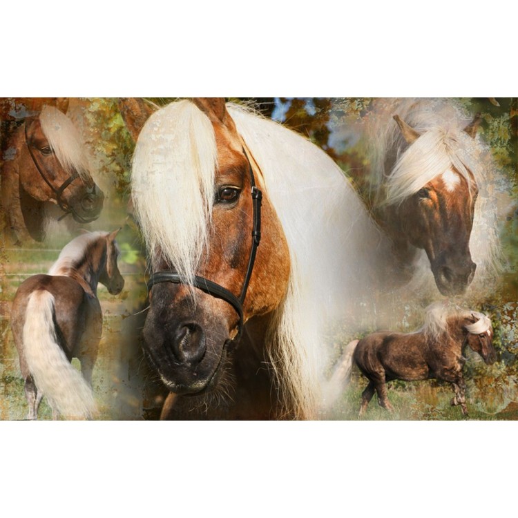 Højglansspray 500 ml til hale og man Excellent Horse