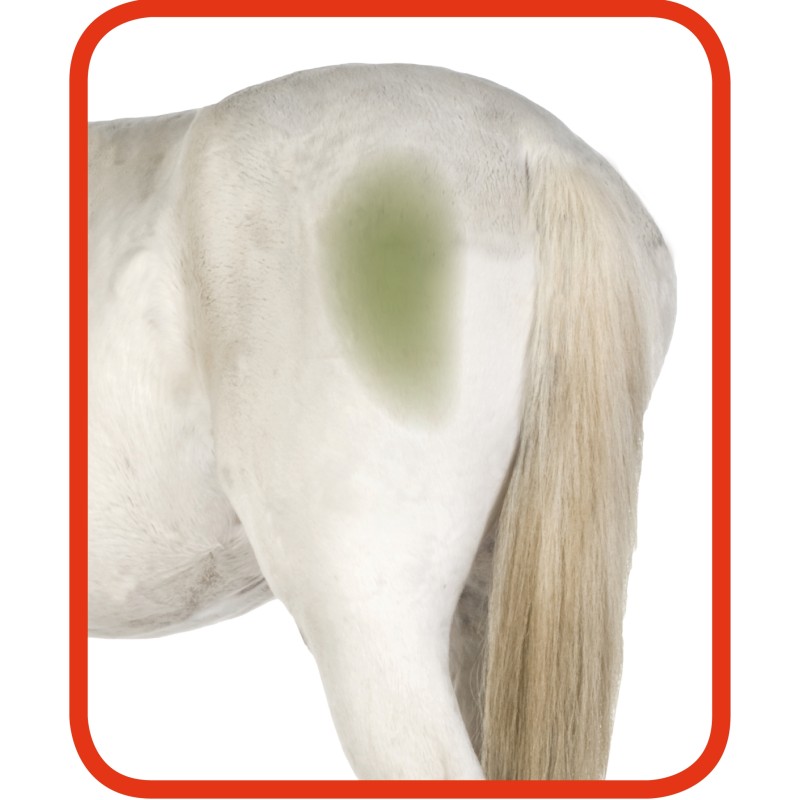 Excellent Horse Højglans Rengøringsspray til pelsen 500 ml Excellent Horse Højglans Rengøringsspray til pelsen 500 ml