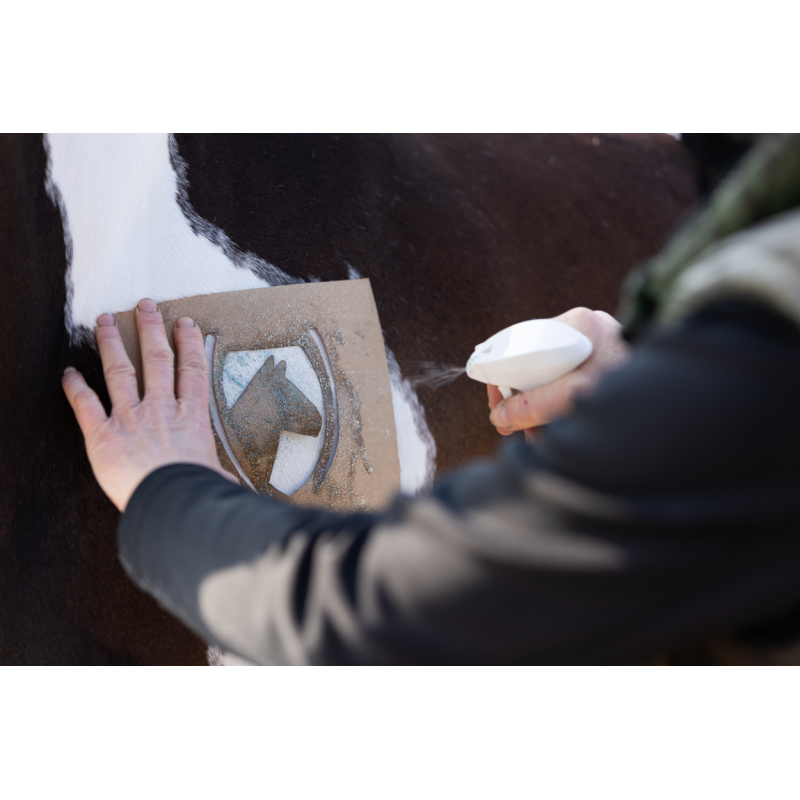 Excellent Horse Hi Gloss Glitter Spray Regnbue 250 ml Excellent Horse Hi Gloss Glitter Spray Regnbue 250 ml