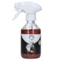 Hi Gloss Glitter Spray Orange 250 ml Excellent Horse