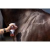Excellent Horse Hi Gloss Glitter Spray Orange 250 ml Excellent Horse Hi Gloss Glitter Spray Orange 250 ml