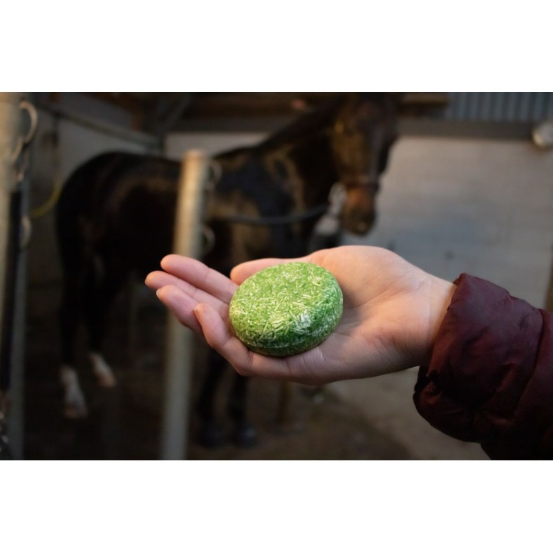 Hi Gloss Shampoo Bar Aloe Vera 60g Excellent Horse Hi Gloss Shampoo Bar Aloe Vera 60g Excellent Horse