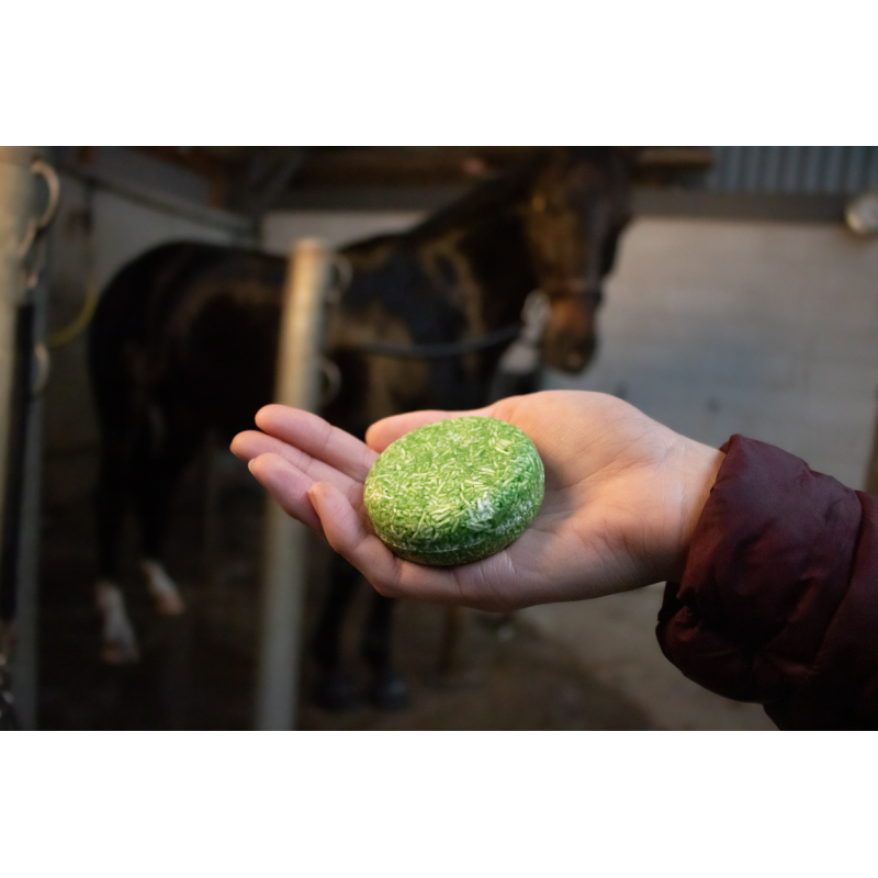 Excellent Horse Hi Gloss Shampoo Bar Aloe Vera 60 g L7cm Excellent Horse Hi Gloss Shampoo Bar Aloe Vera 60 g L7cm