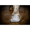 Excellent Horse Hi Gloss Glitter Hovpolering Sølv 150 ml Excellent Horse Hi Gloss Glitter Hovpolering Sølv 150 ml