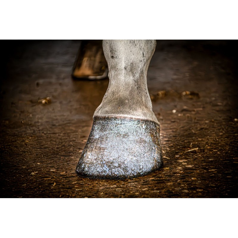 Hi Gloss Glitter Hovpolering Sølv 150 ml Excellent Horse Hi Gloss Glitter Hovpolering Sølv 150 ml Excellent Horse