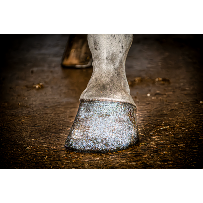 Excellent Horse Hi Gloss Glitter Hovpolering Sølv 150 ml Excellent Horse Hi Gloss Glitter Hovpolering Sølv 150 ml