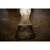 Hi Gloss Glitter Hovpolering Guld 150 ml Excellent Horse