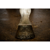 Excellent Horse Hi Gloss Glitter Hovpolering Guld 150 ml Excellent Horse Hi Gloss Glitter Hovpolering Guld 150 ml
