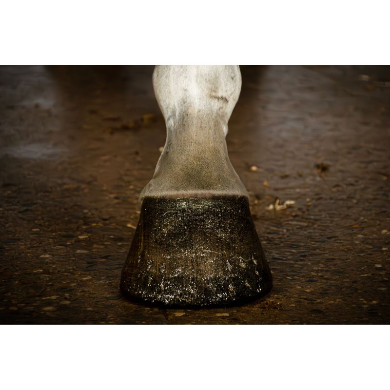 Hi Gloss Glitter Hovpolering Guld 150 ml Excellent Horse Hi Gloss Glitter Hovpolering Guld 150 ml Excellent Horse