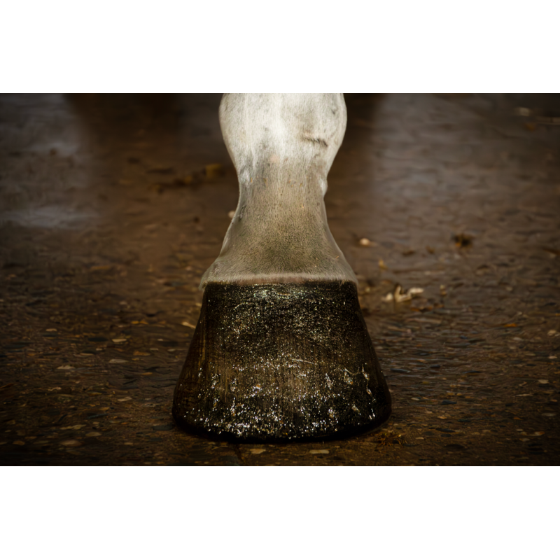 Excellent Horse Hi Gloss Glitter Hovpolering Guld 150 ml Excellent Horse Hi Gloss Glitter Hovpolering Guld 150 ml