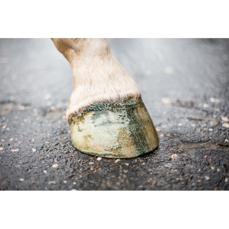 Excellent Horse Hi Gloss Glitter Hovpolering Grøn 150 ml Excellent Horse Hi Gloss Glitter Hovpolering Grøn 150 ml
