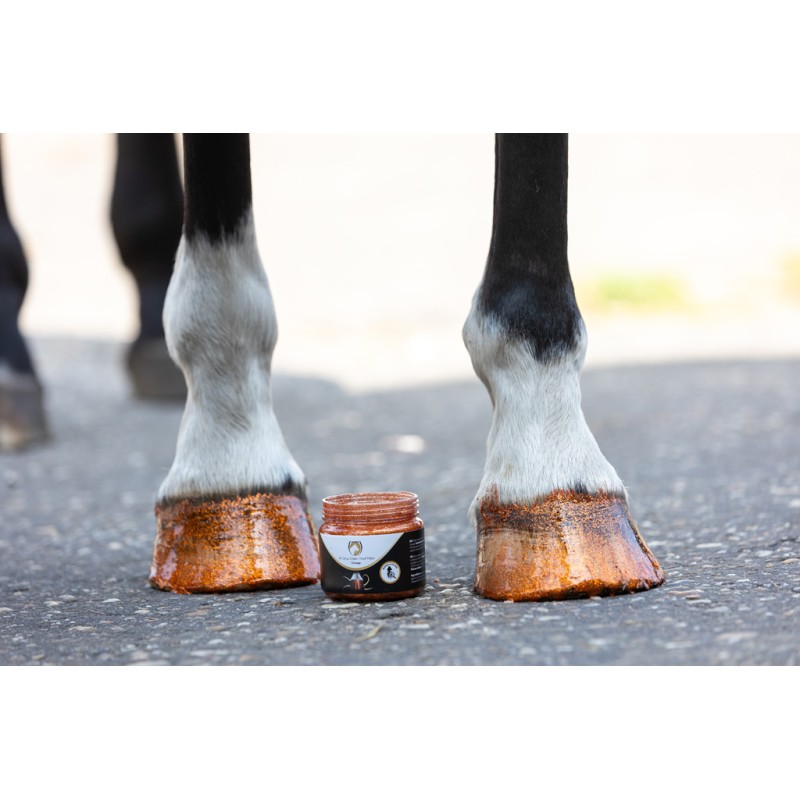 Excellent Horse Hi Gloss Glitter Hovpolering Orange 150 ml Excellent Horse Hi Gloss Glitter Hovpolering Orange 150 ml