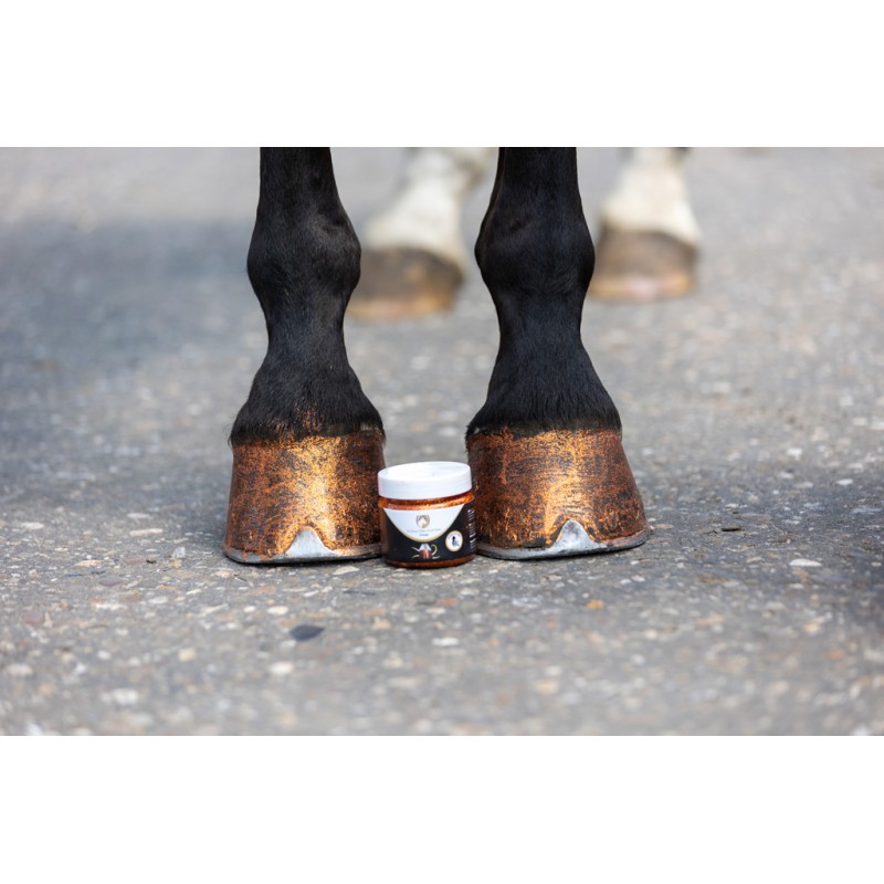 Excellent Horse Hi Gloss Glitter Hovpolering Orange 150 ml Excellent Horse Hi Gloss Glitter Hovpolering Orange 150 ml