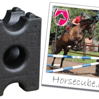 Kube sort 41.5cm - lette cavaletti blokke Excellent Horse
