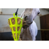 Hay Slow Feeder Sjov og fleksibel gulerodsgrøn Hay Slow Feeder Sjov og fleksibel gulerodsgrøn
