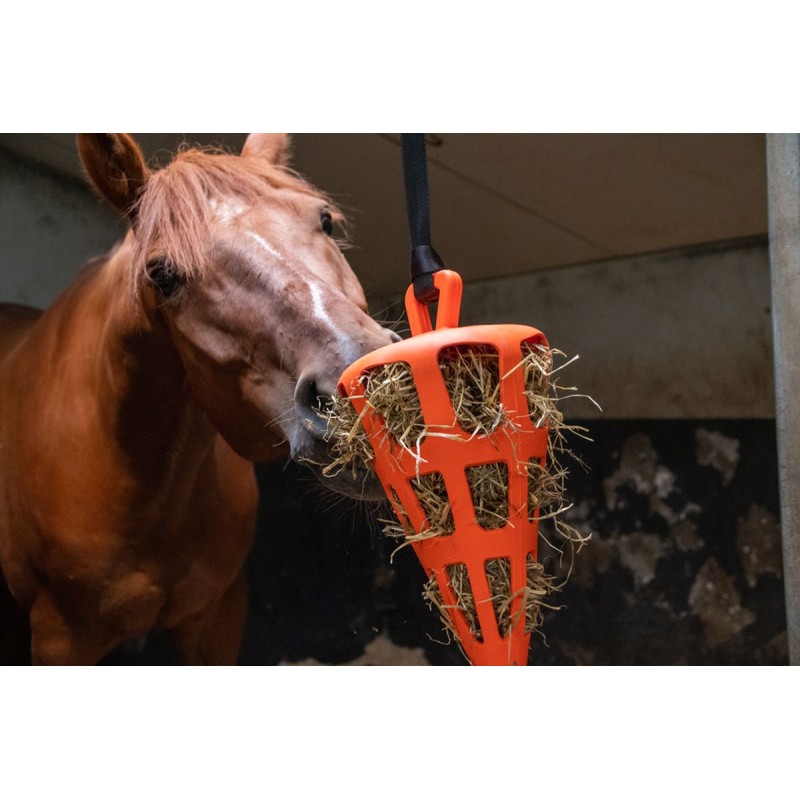 Slow Feeder Sjov og fleksibel gulerodsappelsin Slow Feeder Sjov og fleksibel gulerodsappelsin