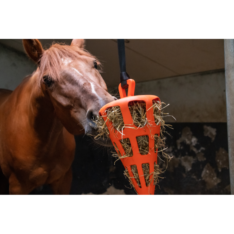 Hay Slow Feeder Sjov og fleksibel gulerodsappelsin Hay Slow Feeder Sjov og fleksibel gulerodsappelsin