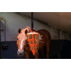 Hay Slow Feeder Sjov og fleksibel gulerodsappelsin Hay Slow Feeder Sjov og fleksibel gulerodsappelsin