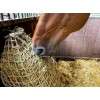 Hay Slow Feeder Netto 2,5 kg (45 mm) Hay Slow Feeder Netto 2,5 kg (45 mm)