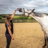Horslyx Original slikkesten 650 gram Horslyx Original slikkesten 650 gram
