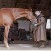 Mint slikkesten 650 gram Horslyx