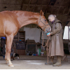 Horslyx Mint slikkesten 650 gram Horslyx Mint slikkesten 650 gram