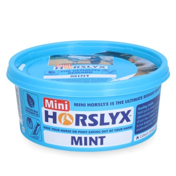 Mint slikkesten 650 gram Horslyx