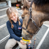 Horslyx hvidløg slikkesten 650 gram Horslyx hvidløg slikkesten 650 gram